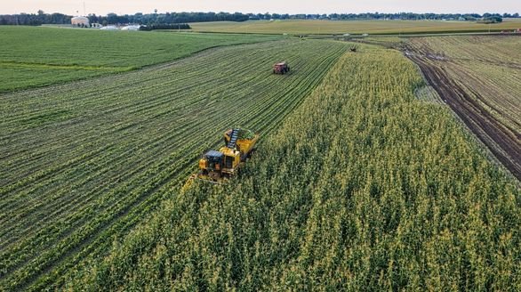 1. large scale crop production