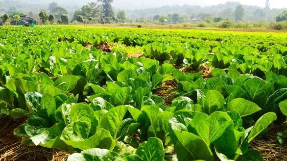 2. sustainable & organic farming solutions