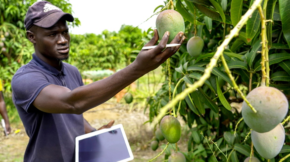 3. precision agriculture & agritech integration
