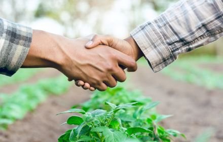 agricultural consultation & farm partnerships