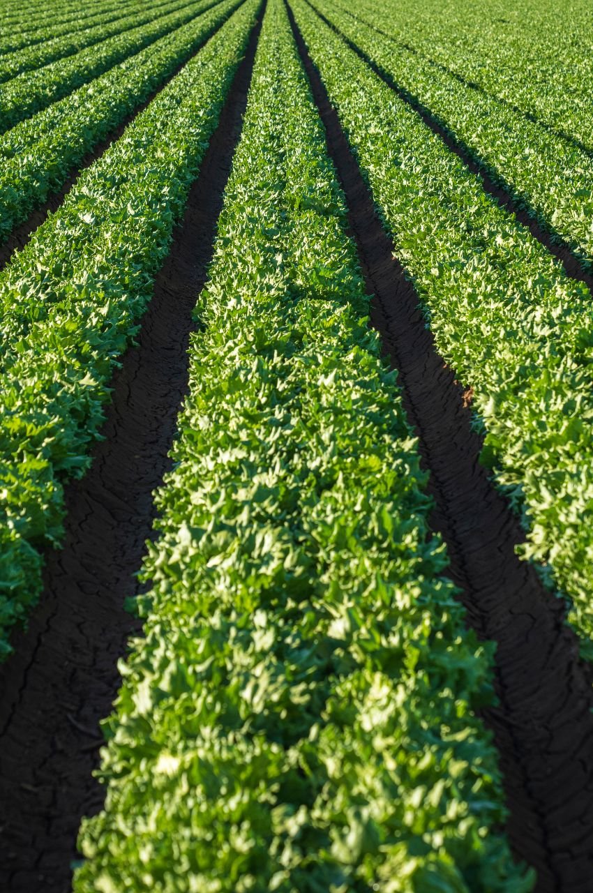 our commitment to excellence​